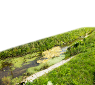 Untitled – 2025-10-24T115244.906